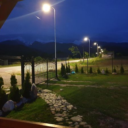 Villa Casa Fericirii Cîrţişoara Exterior foto